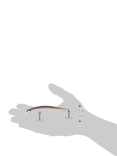 Amazon.co.jp: ティムコ(TIEMCO) ミノー シュマリ 95F 95mm 8g HG